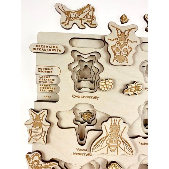 Premena dokonalá, nedokonalá - životné cykly- set - ČESKÁ VERZIA