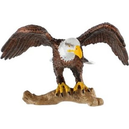 Orel bělohlavý zooted