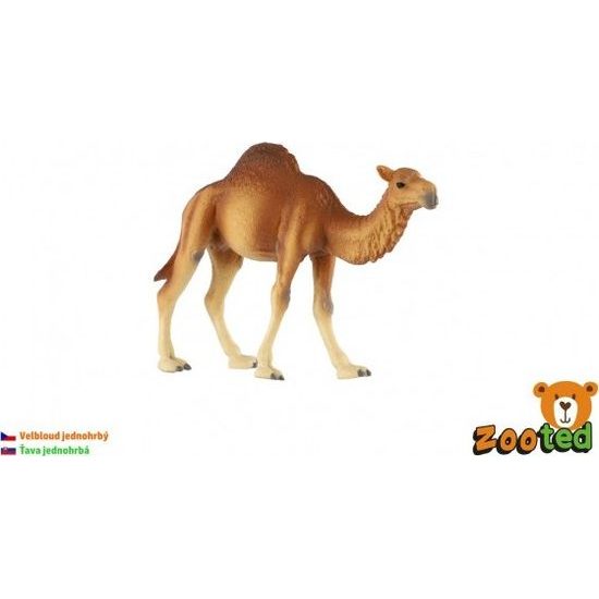 Velbloud jednohrbý zooted
