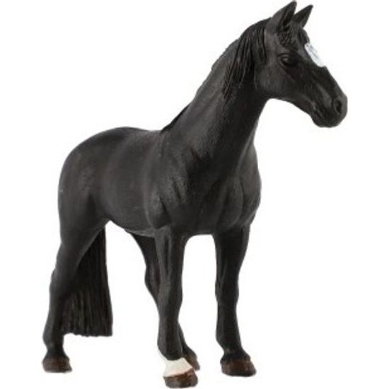 Kůň domácí vraník zooted