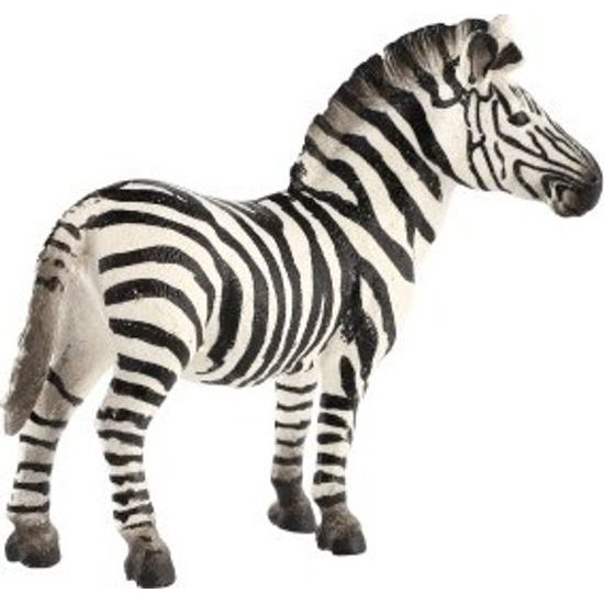 Zebra horská zooted