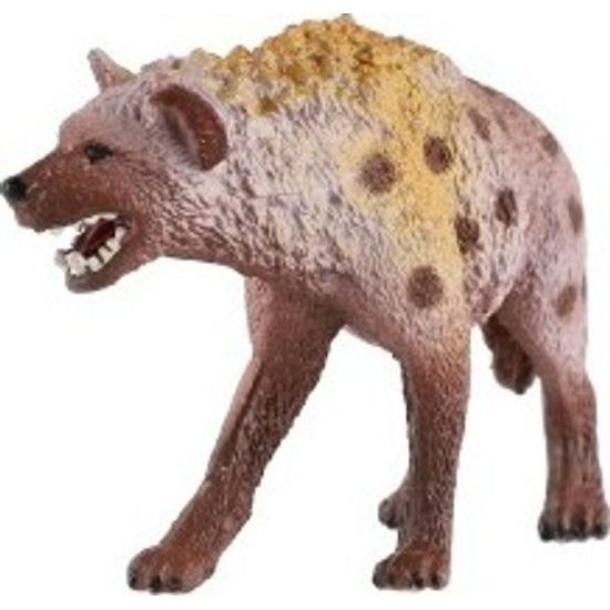 Hyena skvrnitá zooted