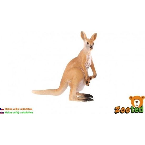 Klokan velký s mládětem zooted