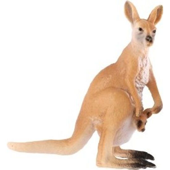 Klokan velký s mládětem zooted