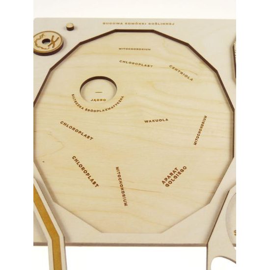 Rastlinná bunka - edukatívne puzzle - ČESKÁ VERZIA