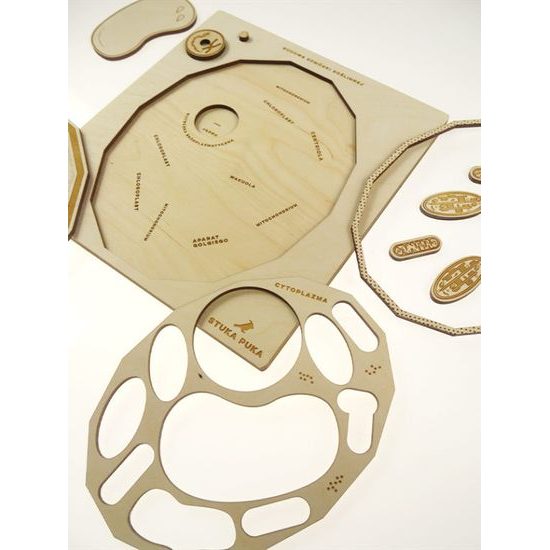 Rastlinná bunka - edukatívne puzzle - ČESKÁ VERZIA