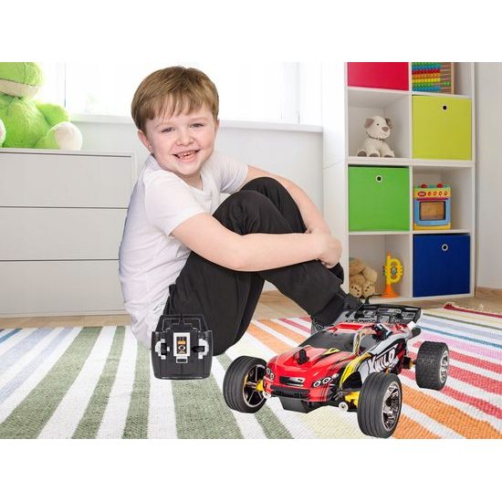 Závodní auto na dálkové ovládání X Wild 1:22