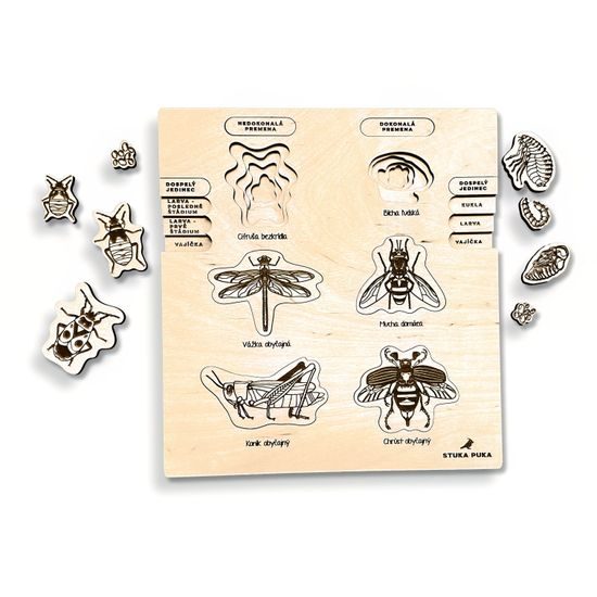 Proměna dokonalá, nedokonalá - životní cykly - set - SLOVENSKÁ VERZE