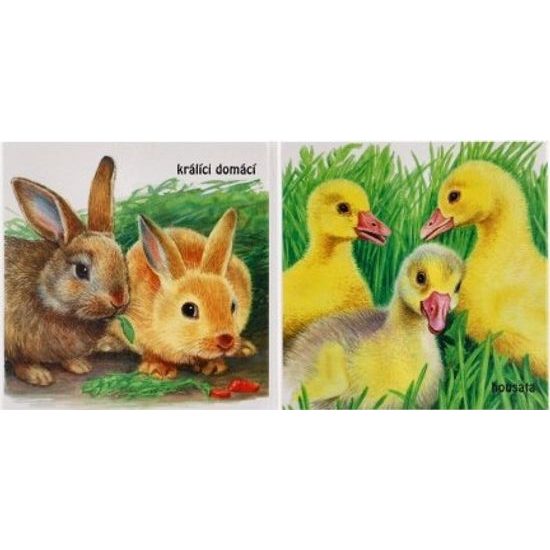 Knížka leporelo Mláďatka