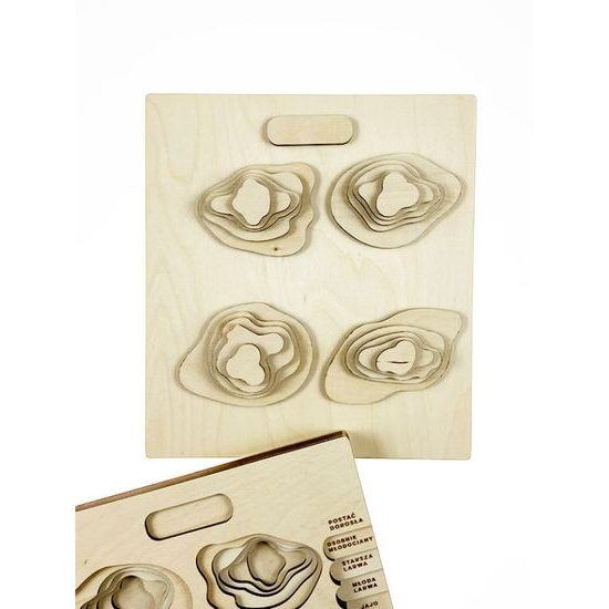 Obojživelníky - životné cyklusy - set - ČESKÁ VERZIA