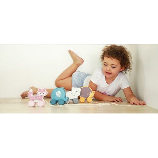 Dřevěná tahací hračka na šňůrce Viga lední mědvěd