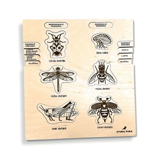 Proměna dokonalá, nedokonalá - životní cykly - set - SLOVENSKÁ VERZE