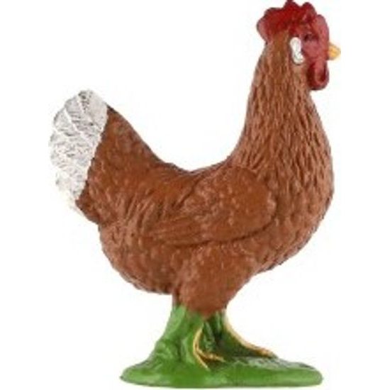 Slepice kura domácího zooted