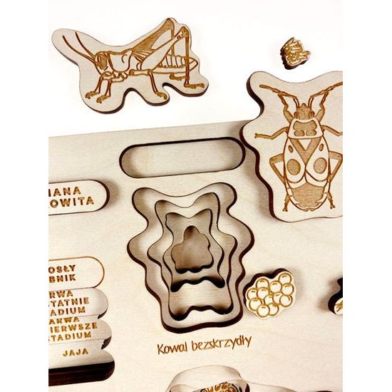 Proměna dokonalá, nedokonalá - životní cykly - set - SLOVENSKÁ VERZE