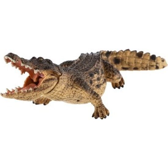 Krokodýl nilský zooted