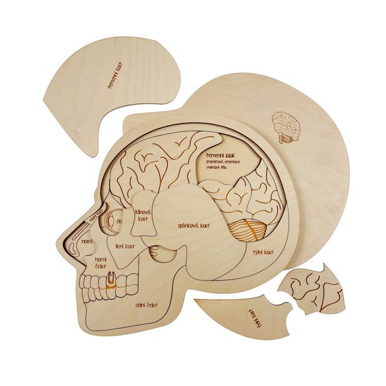 Hlava anatomie - edukativní dřevěné puzzle - SLOVENSKÁ VERZE