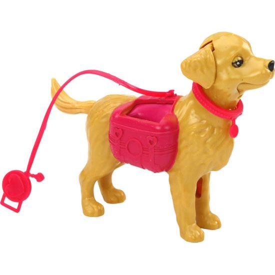 Panenka se psy a kočkou s veterinárními doplňky