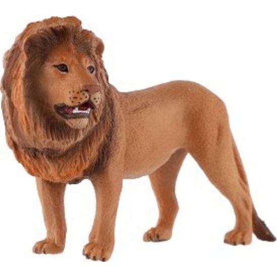 Lev berberský zooted