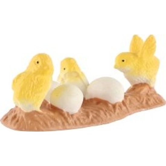 Kuřátka kura domácího zooted