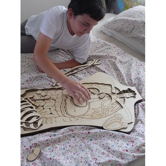 Telo - anatómia - edukatívne drevené puzzle - ČESKÁ VERZIA