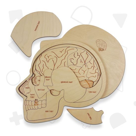 Hlava anatómie - edukatívne drevené puzzle - ČESKÁ VERZIA