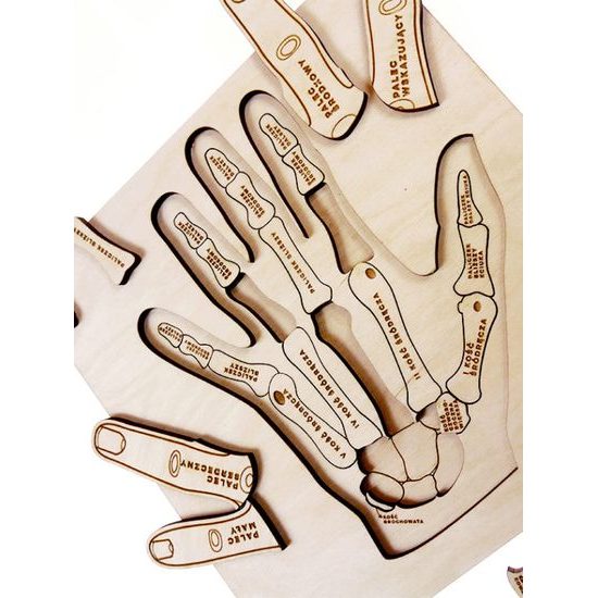 Ruka - anatomie - edukativní dřevěné puzzle - ČESKÁ VERZE