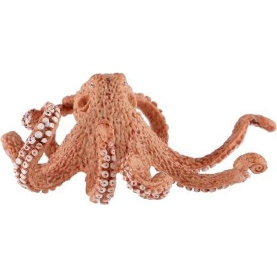 Chobotnice velká zooted