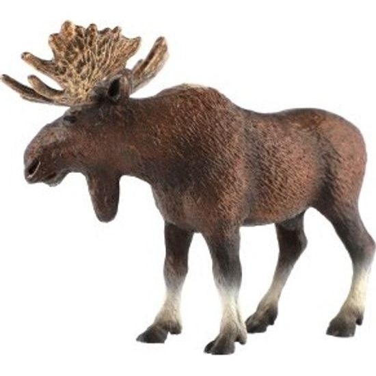 Los evropský zooted