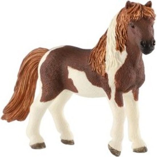 Kůň domácí Shetlandský pony zooted