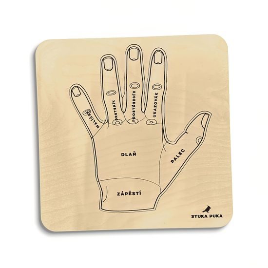 Ruka - anatomie - edukativní dřevěné puzzle - ČESKÁ VERZE