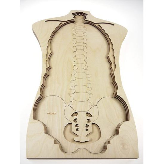 Telo - anatómia - edukatívne drevené puzzle - ČESKÁ VERZIA