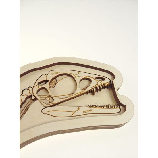 Dinosaurus - anatómia tela - edukatívne puzzle - SLOVENSKÁ VERZIA
