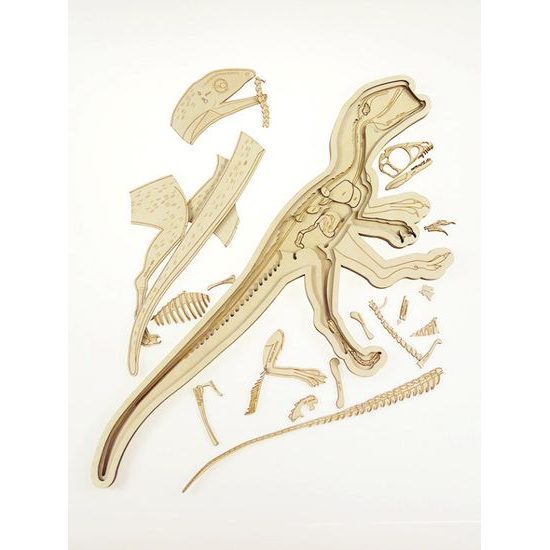 Dinosaurus - anatómia tela - edukatívne puzzle - ČESKÁ VERZIA