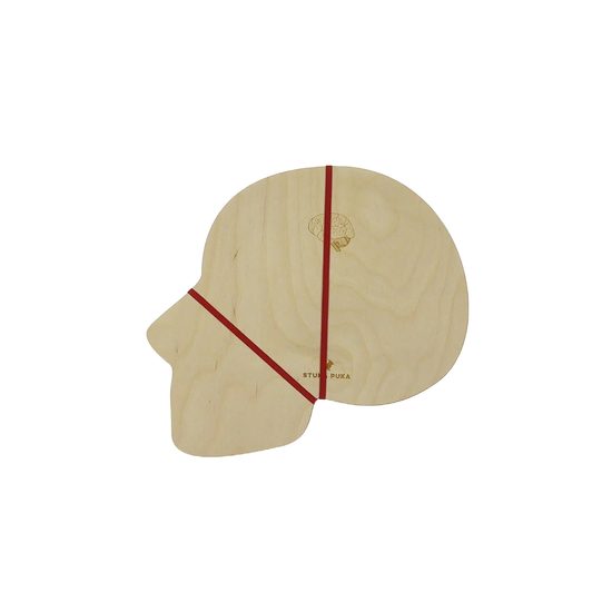 Hlava anatómie - edukatívne drevené puzzle - ČESKÁ VERZIA