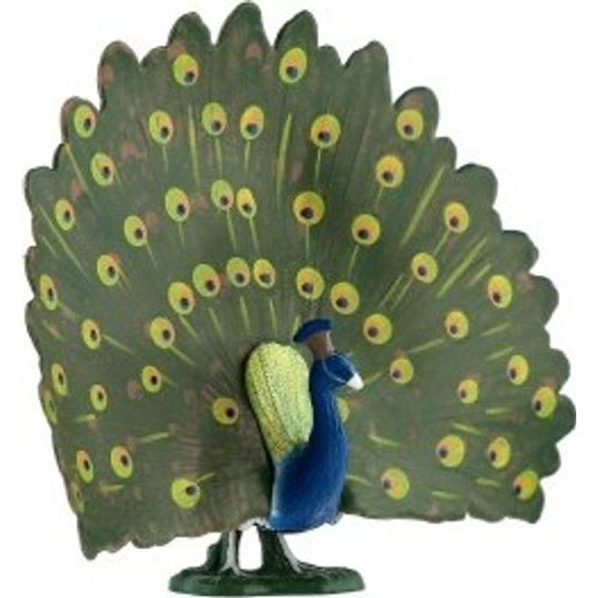 Páv korunkatý zooted