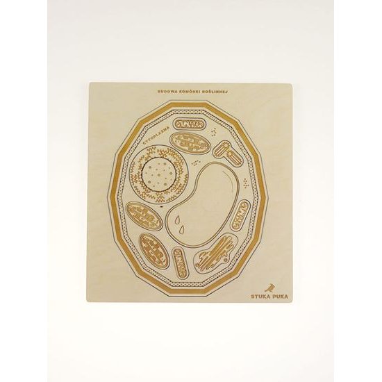 Rastlinná bunka - edukatívne puzzle - SLOVENSKÁ VERZIA