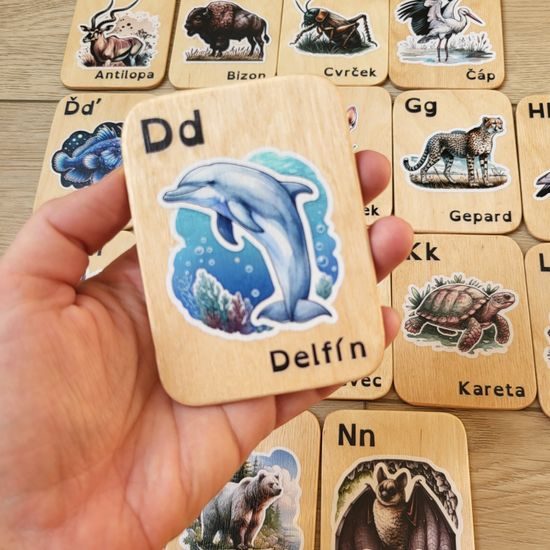 Barevné abecední karty - zvířata