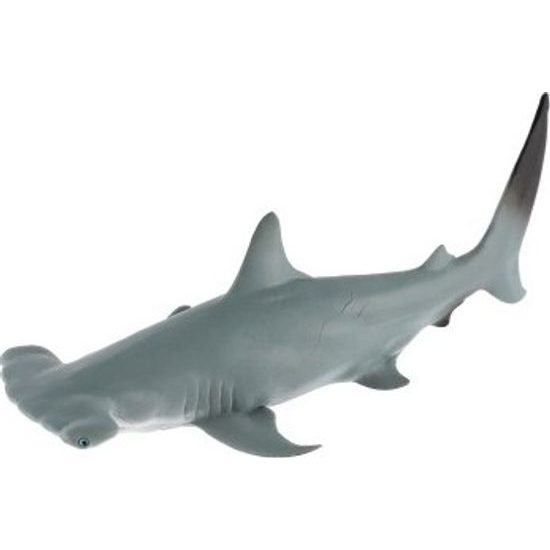 Žralok kladivoun velký zooted