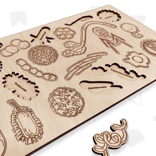 Baktérie a vírusy- edukatívne drevené puzzle 24x28 cm