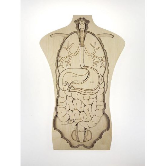 Telo - anatómia - edukatívne drevené puzzle - ČESKÁ VERZIA