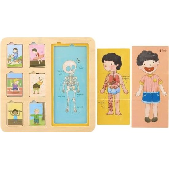 Dřevěné deskové puzzle lidské tělo/sport