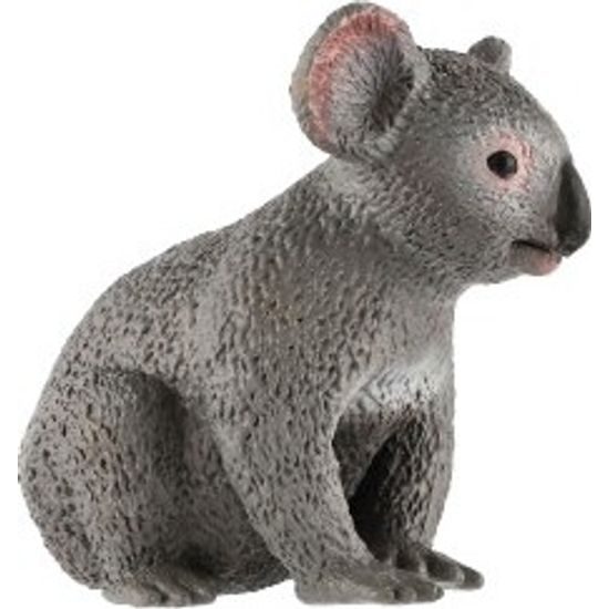 Koala medvídkovitý zooted