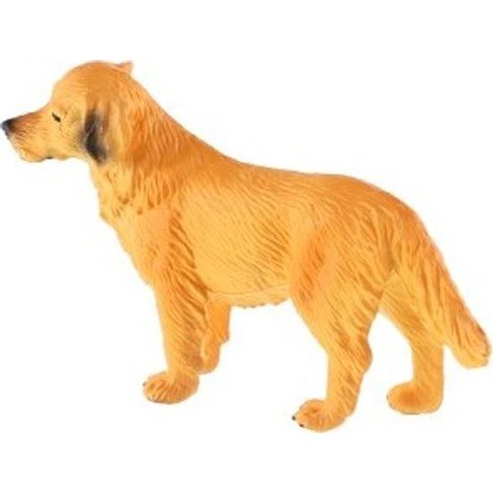 Retrívr zlatý - pes domácí zooted