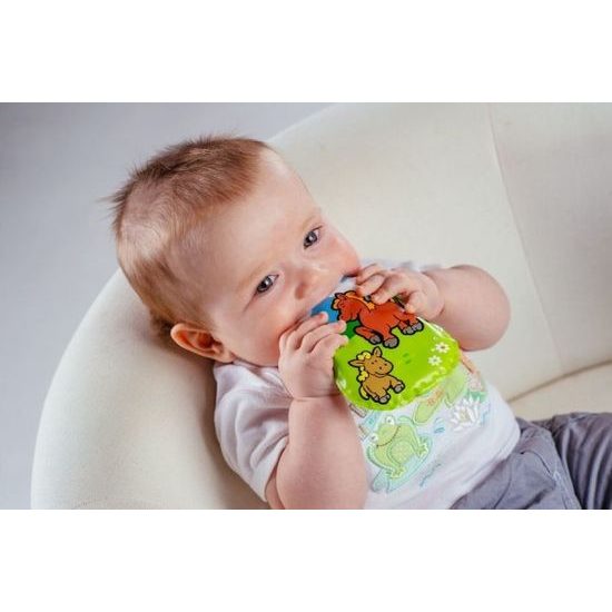 Pískací Polštářek - Moje první zvířátka - mix 6 druhů