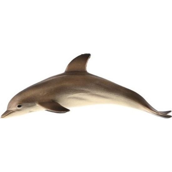 Delfín skákavý zooted