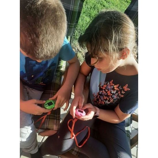 Zvířátko elektronické - přívěsek se šňůrkou - mix 3 barvy