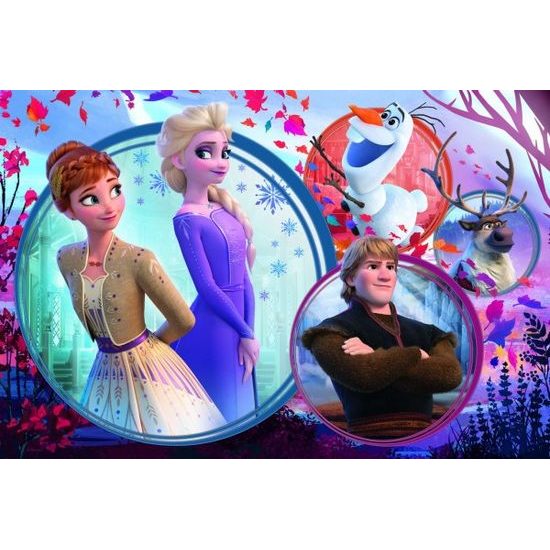 Puzzle Ledové království II/Frozen II 160 dílků