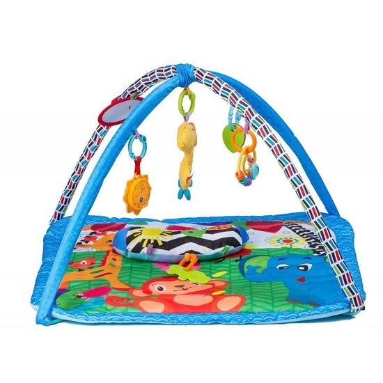 Ecotoys hracia deka s hudobnou hračkou