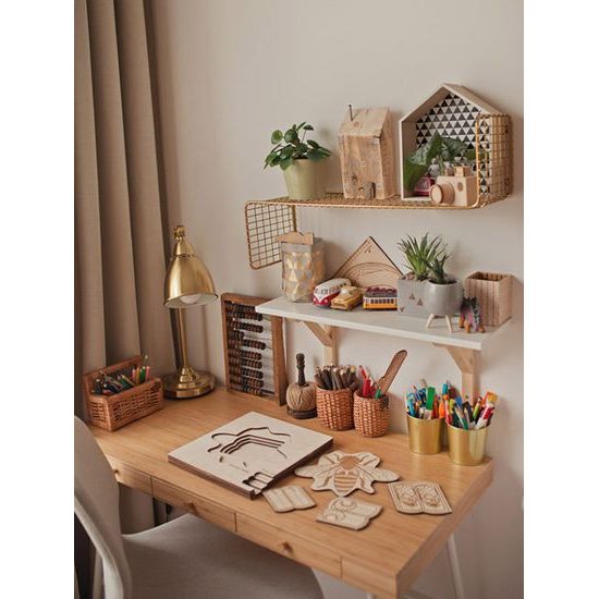 Včela - životní cyklus - ČESKÁ VERZE