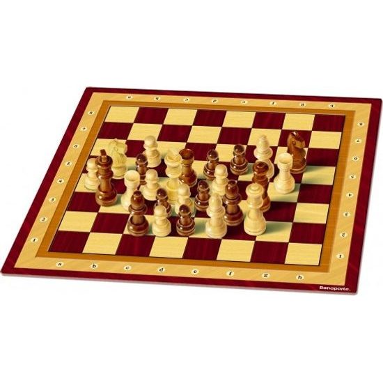 Šachy - společenská hra